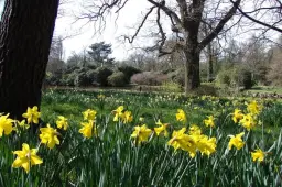 Mother's Day - Hoveton Hall Gardens