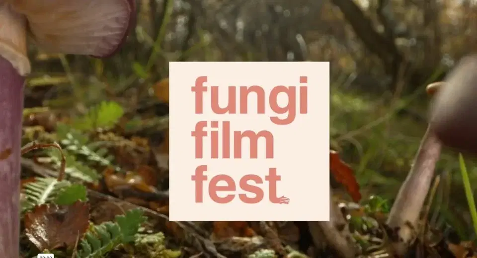 Fungi Film Fest