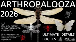 Arthropalooza: Ultimate Bug Fest
