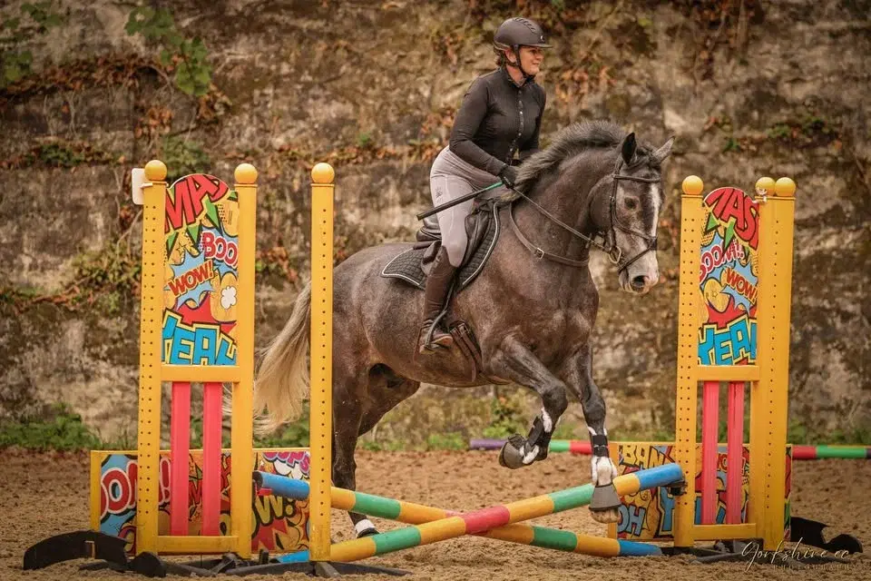 ✨STRESSLESS SHOWJUMPING ✨