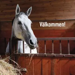 ✨️🐴👨🌾 Avspark 2026👨🌾🐴✨️ - Årets hästkväll på Granngården i Örebro