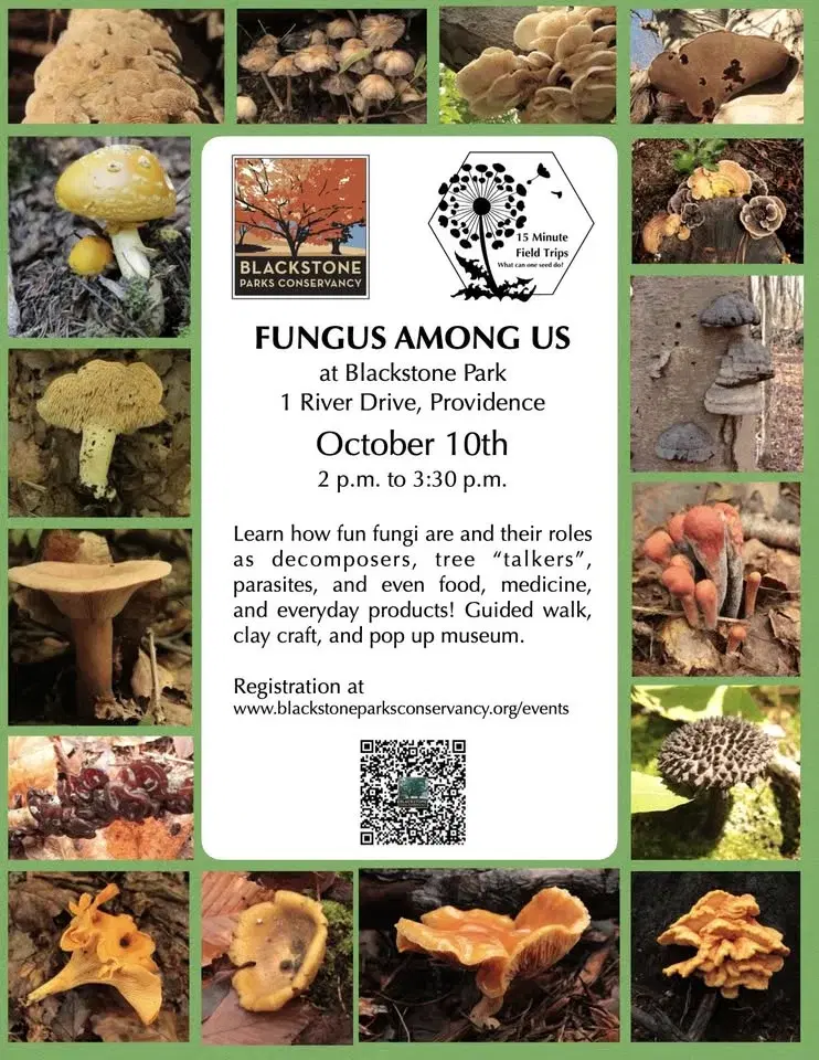 Fungus Among Us Fall Walk