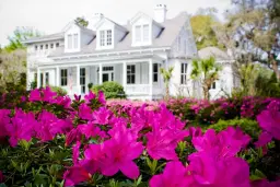 Garden Party at Linwood Inn | Summerville Historic Homes & Gardens Tour