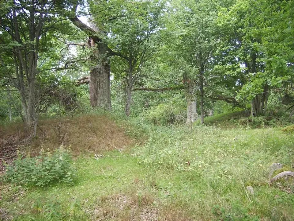 Fortsättning på skötseln av Viggbyholms ekbacke