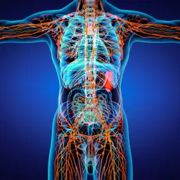 14 mars Lymfdagen - yoga - meditation - föreläsning -andning