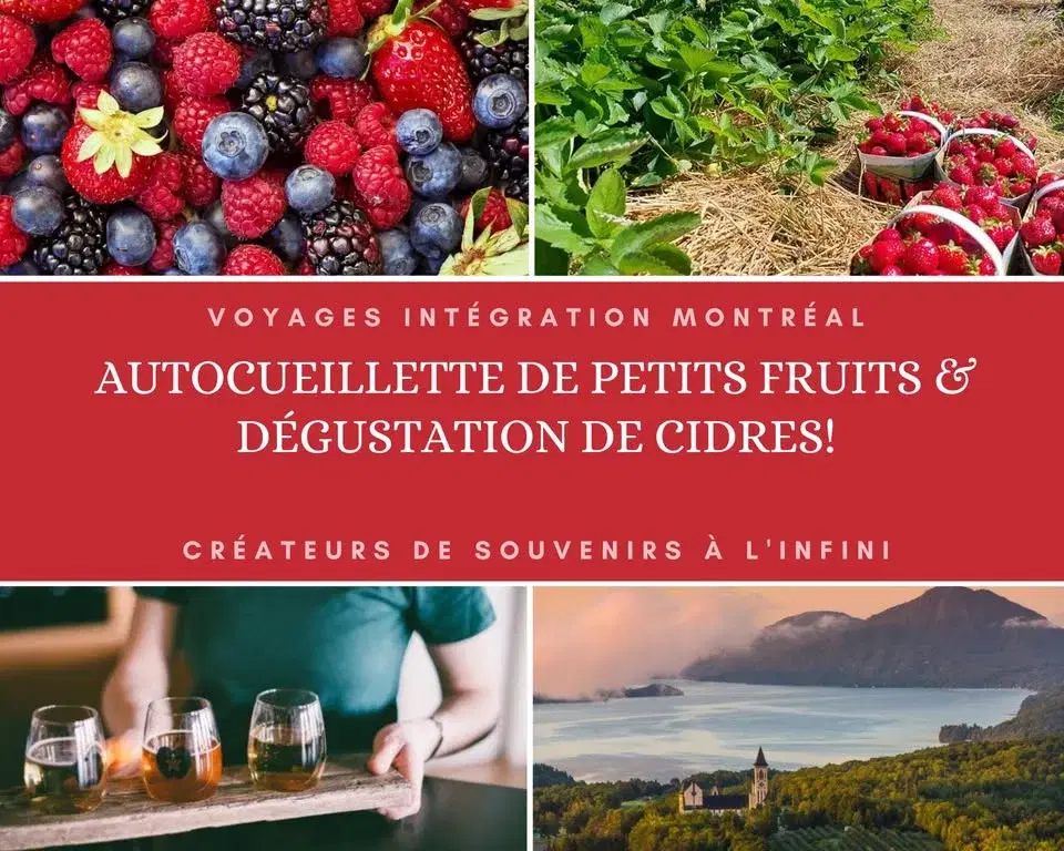 Autocueillette de petits fruits & Dégustation de Cidres!