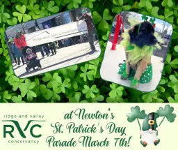 St Patrick's Day Parade