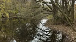 Vandretur for Kvinder Alene til Blixenruten (16 km)