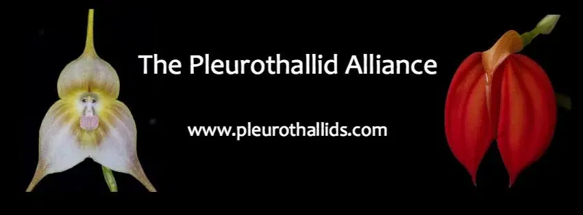 Orchid Obscura 73rd Annual Pacific Orchid Exposition