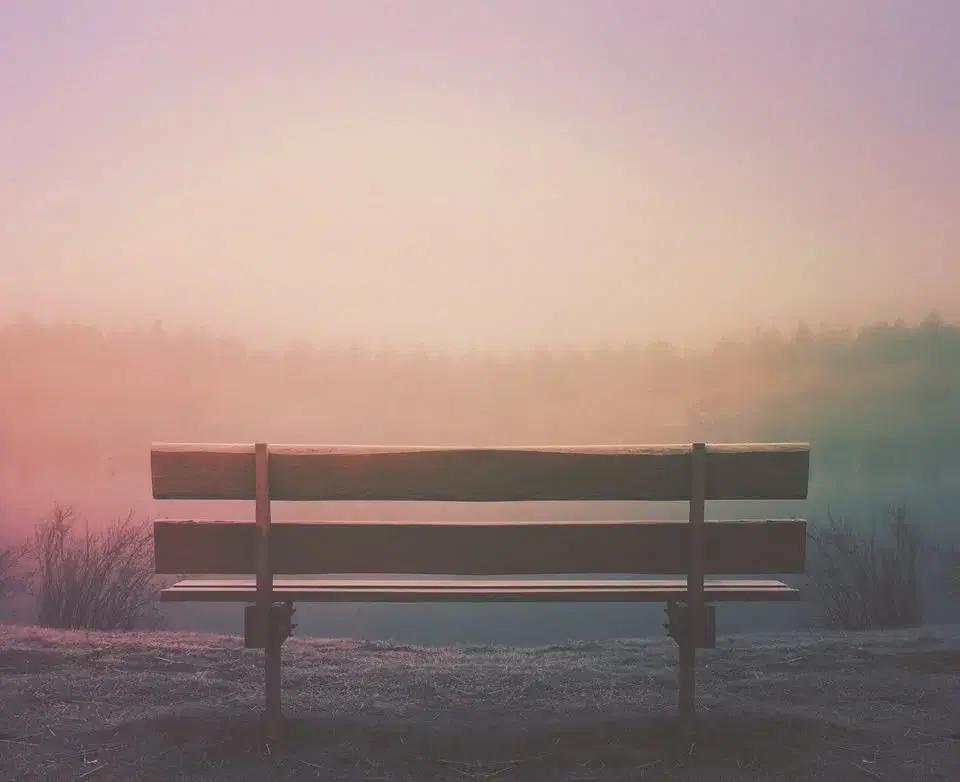 Stilla dag i tystnad