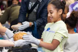 Pawtucket Brain Fair 2026