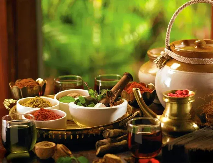 CURSO DE AYURVEDA - MARZO 2026