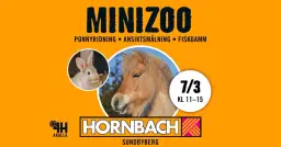 MiniZoo - träffa och lär dig mer om djur på HORNBACH Sundbyberg