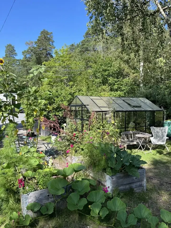 Beredskapsodling: Vi bygger en varmbänk och kan skörda grönsaker mycket tidigare