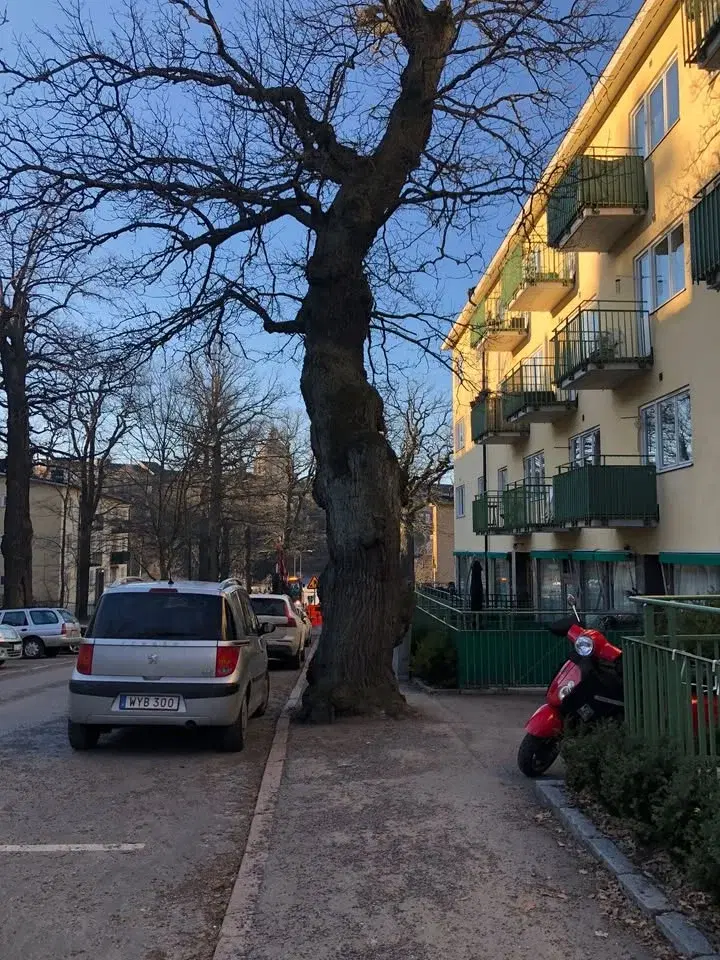 Gratis konsert i Ekhagsstugan med folkmusik och berättande (repetition)