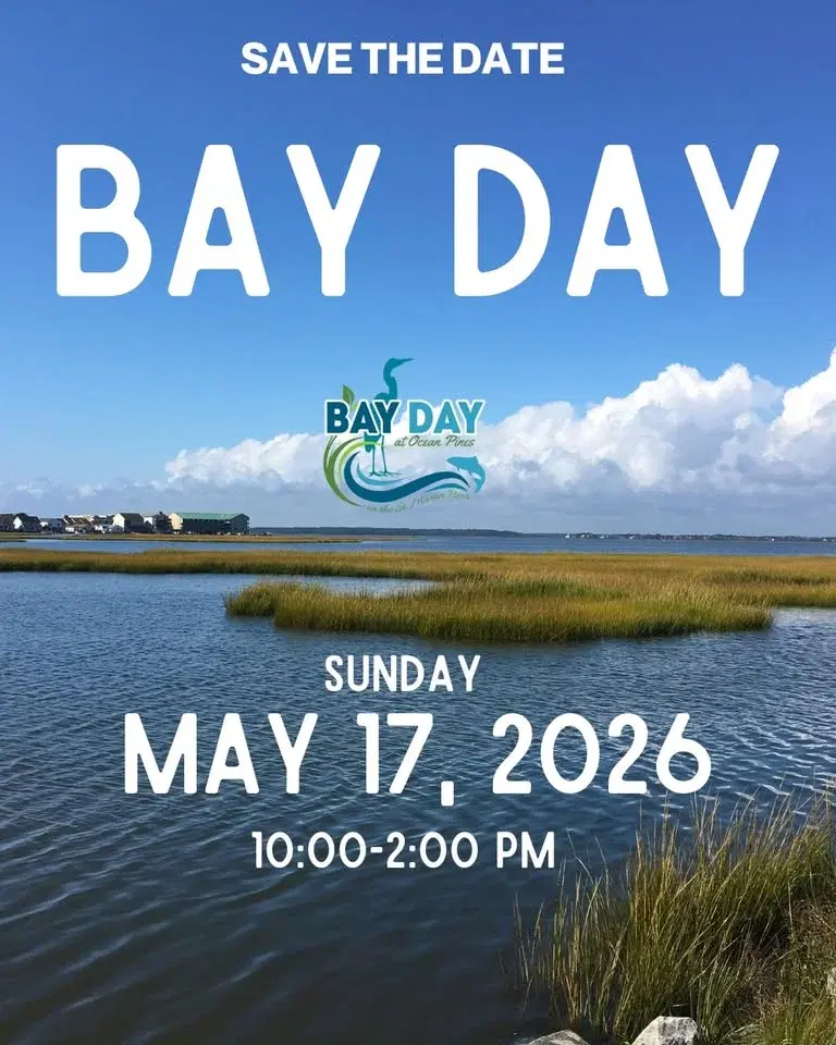 Bay Day 2026