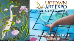 Chalk Art Competition at Cranes Roost Park