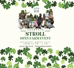 Shamrock Stroll Open Farm Event