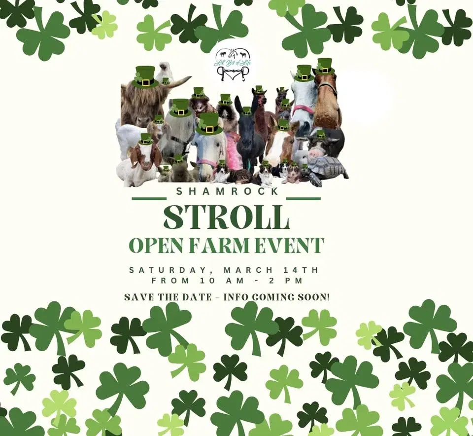 Shamrock Stroll Open Farm Event