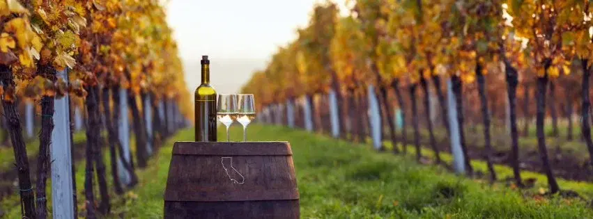 Wine Trip to Sonoma County, California 2026