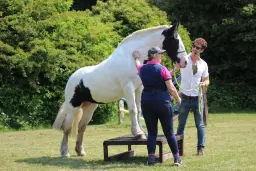 A Day at.. Collingham Horse Adventure Park w/ Rosca Horsemanship 2026