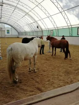 Personlig utvecklingskurs-People Whisperer workshop för Perry Wood