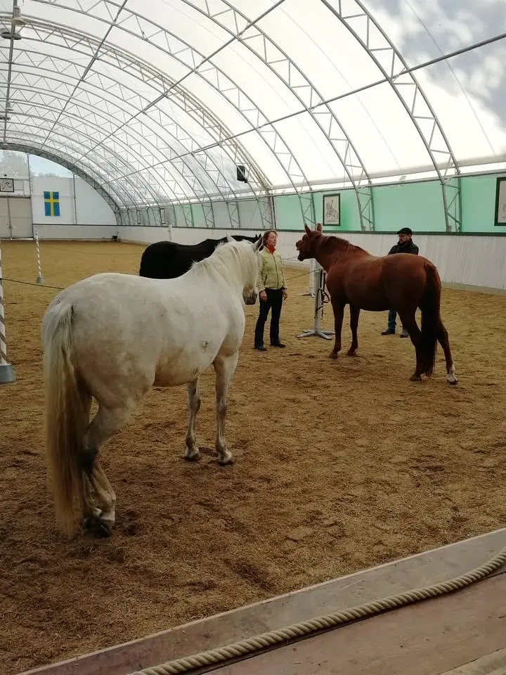 Personlig utvecklingskurs-People Whisperer workshop för Perry Wood