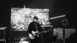 Viic Woods + Meadows KLUBB EFTERSLAG