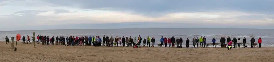 Almost Home Halloween Pack Walk