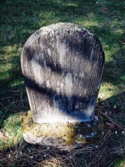 Guided Tour: Stories in Stone