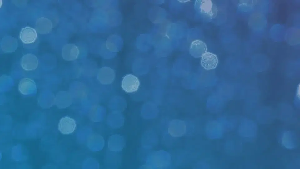 RUSLAN KD GODLY AMBITION TOUR