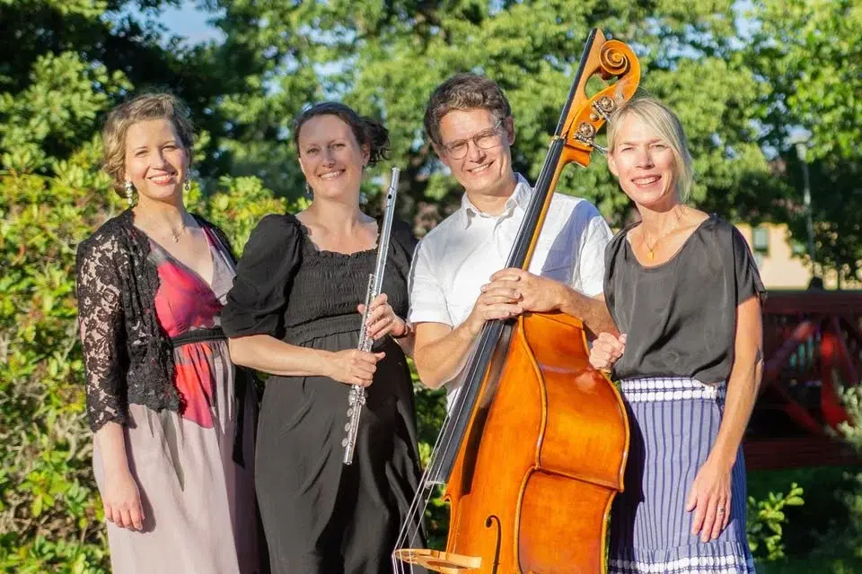 LILLA SALONGSORKESTERN - STOR MUSIK I LITET FORMAT