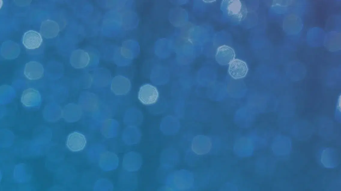 FIP SILVER ESC PADEL 2026 - Torstai