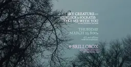 Sky Creature (NY), Hemlock for Socrates, Take Me With You at Brillobox