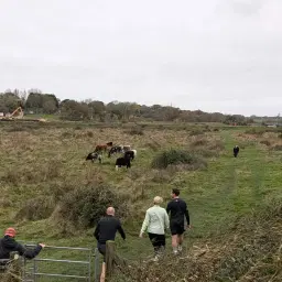 Wivenhoe 5 mile trail.