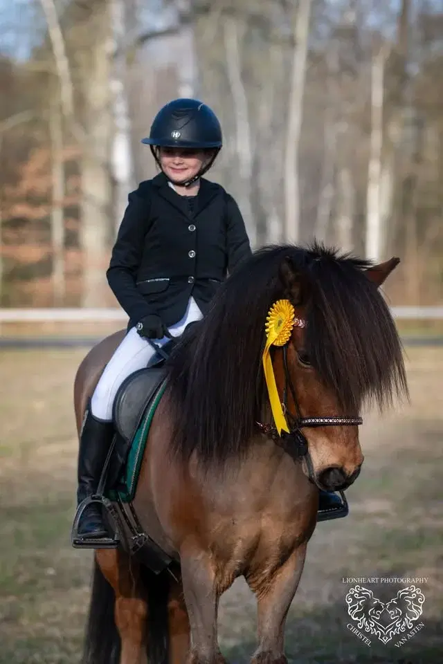 Inomhustävling i Olofström