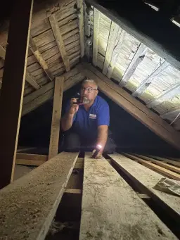 Överlåtelsebesiktning