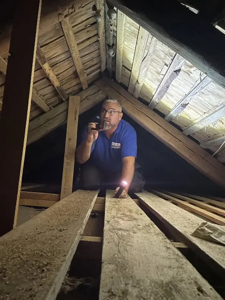 Överlåtelsebesiktning