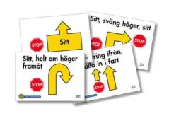 Rallylydnad – grundkurs steg 1