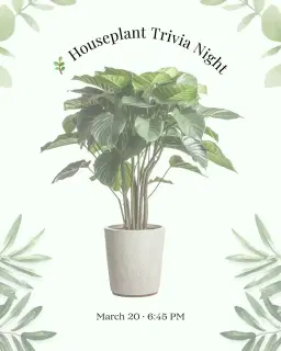 🌿 Houseplant Trivia Night