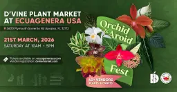 "ORCHID & AROID FEST" D'vine Plant Market at Ecuagenera USA