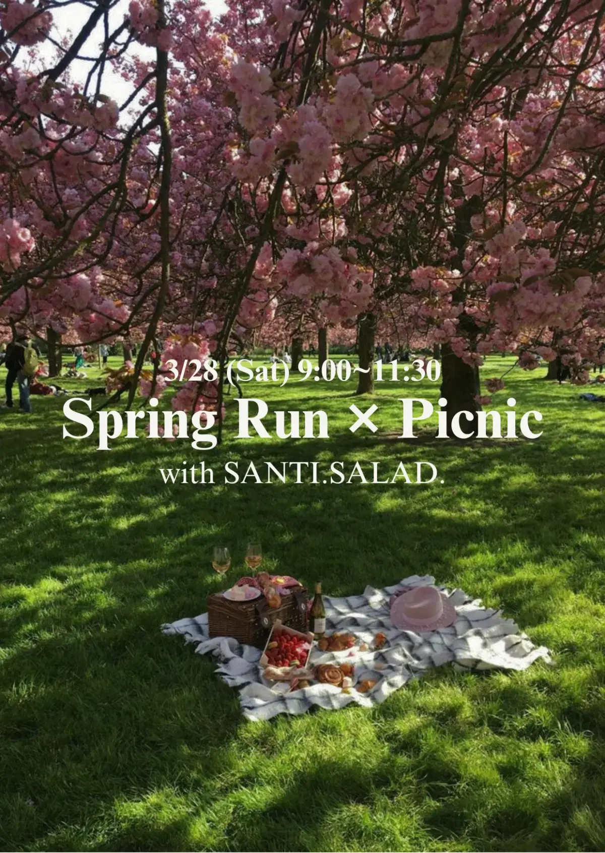 【Spring Run & Picnic 🌸】SANTI. SALAD.🥗と楽しむお花見ラン🏃