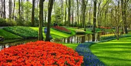 Amsterdam & Festival Tulipes 2026 - DAY TRIP - 4 avril