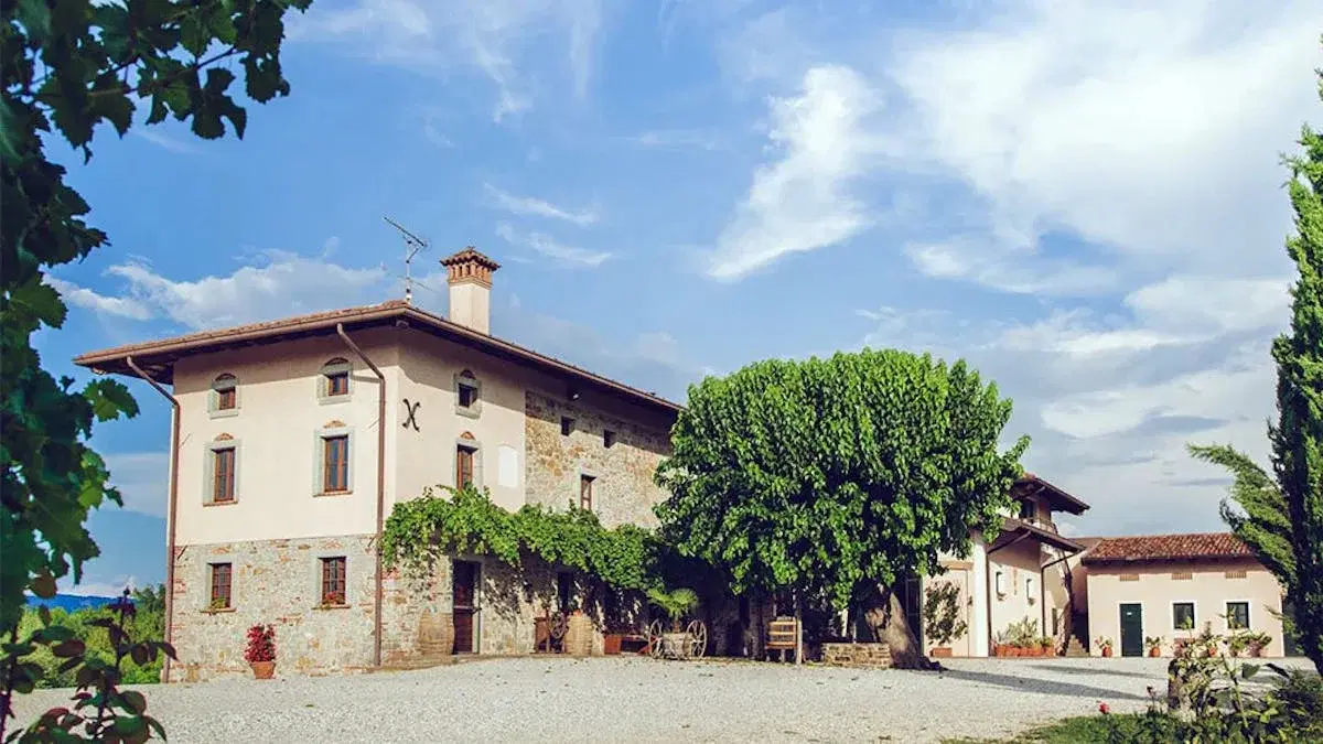 Vinsmagning - Scubla - ikonisk producent fra NordItalien