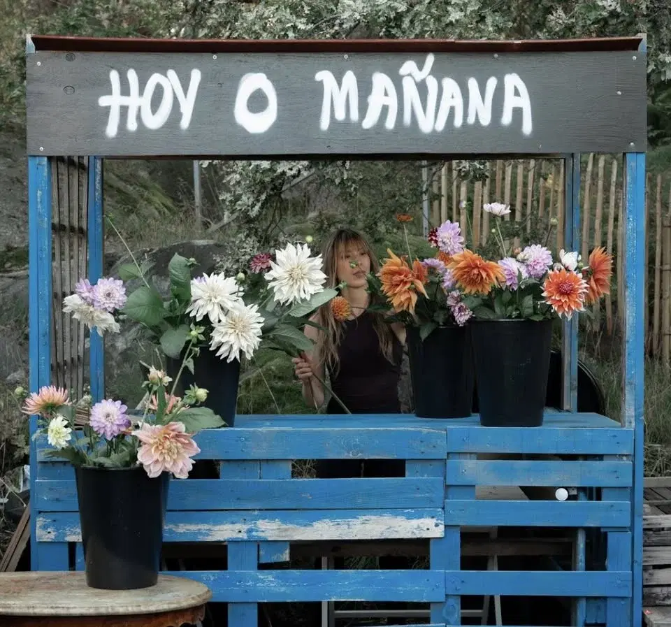 Säsongspremiär Bubböns plantförsäljning