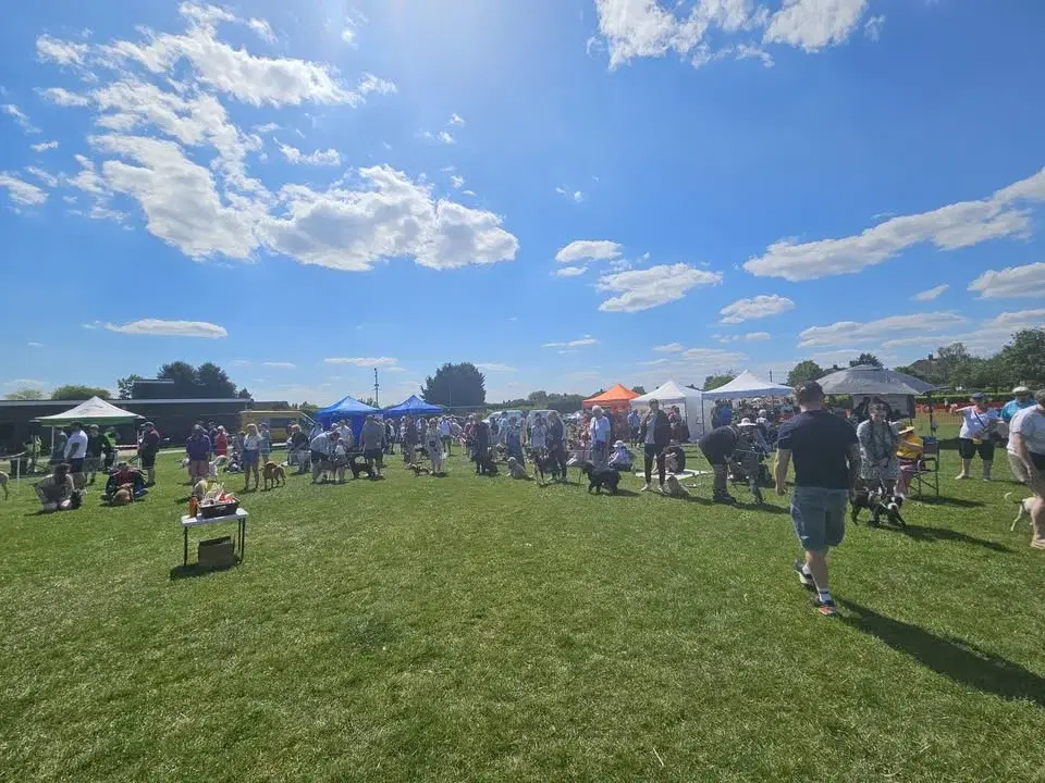 West Bletchley Fun Dog Show
