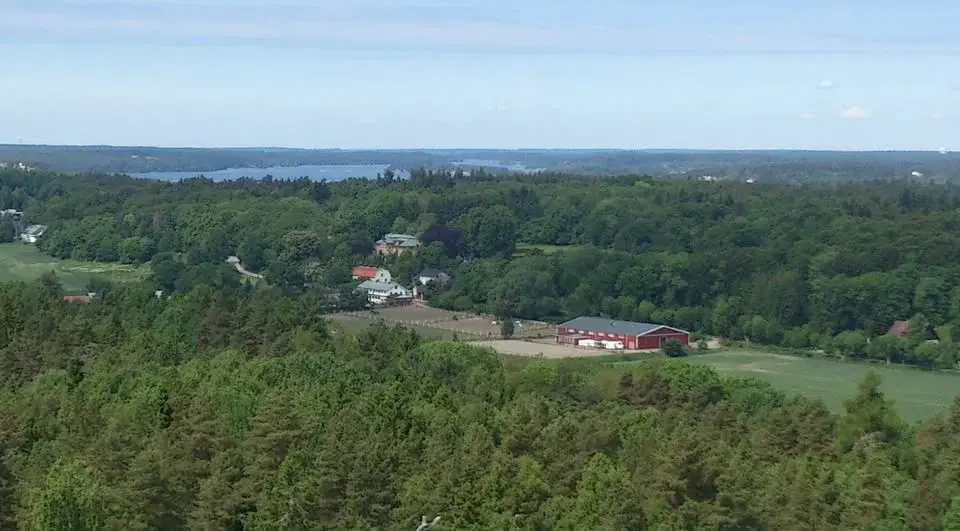 đŽ Pay&ride och klubbtĂ€vling i dressyrđŽ