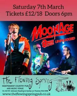 Bowie Unplugged by MOONAGE