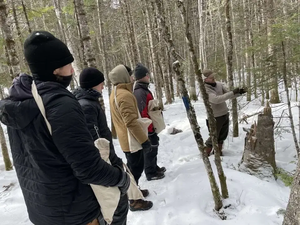 Intro to Bushcraft Course