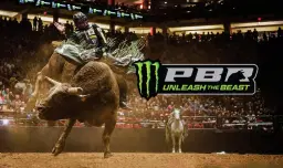 PBR: Unleash the Beast